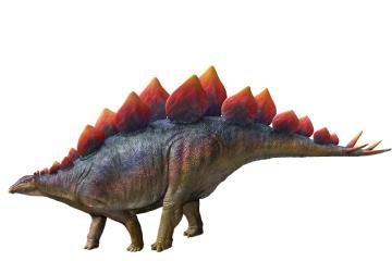 ステゴサウルスの復元画