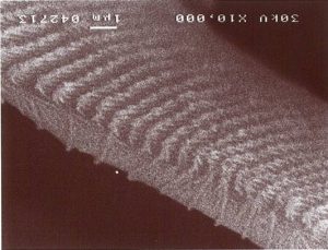 鱗粉の断面を電子顕微鏡で拡大