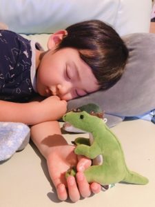 パキケファロサウルスのぬいぐるみを掴んだまま寝る息子