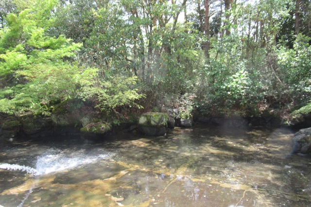 水を放水中の鯉池