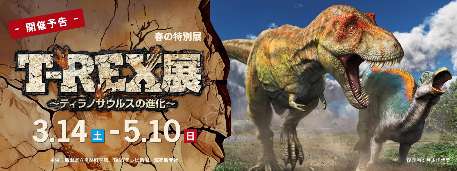 2026春の特別展「T-REX展」スライド画像
