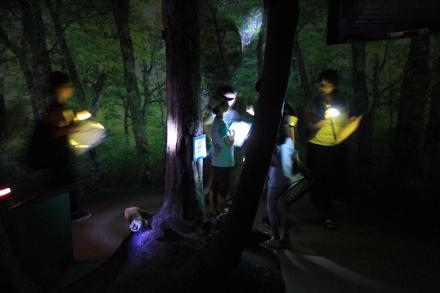 夜の展示場（過去の写真）