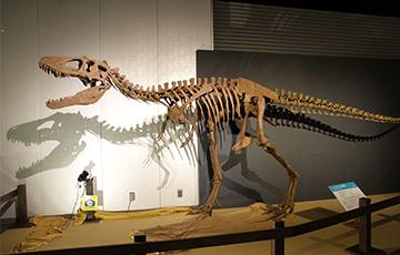 リトロナクスの全身骨格