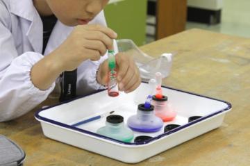 過去実施の写真１