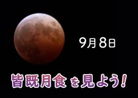 皆既月食　画像