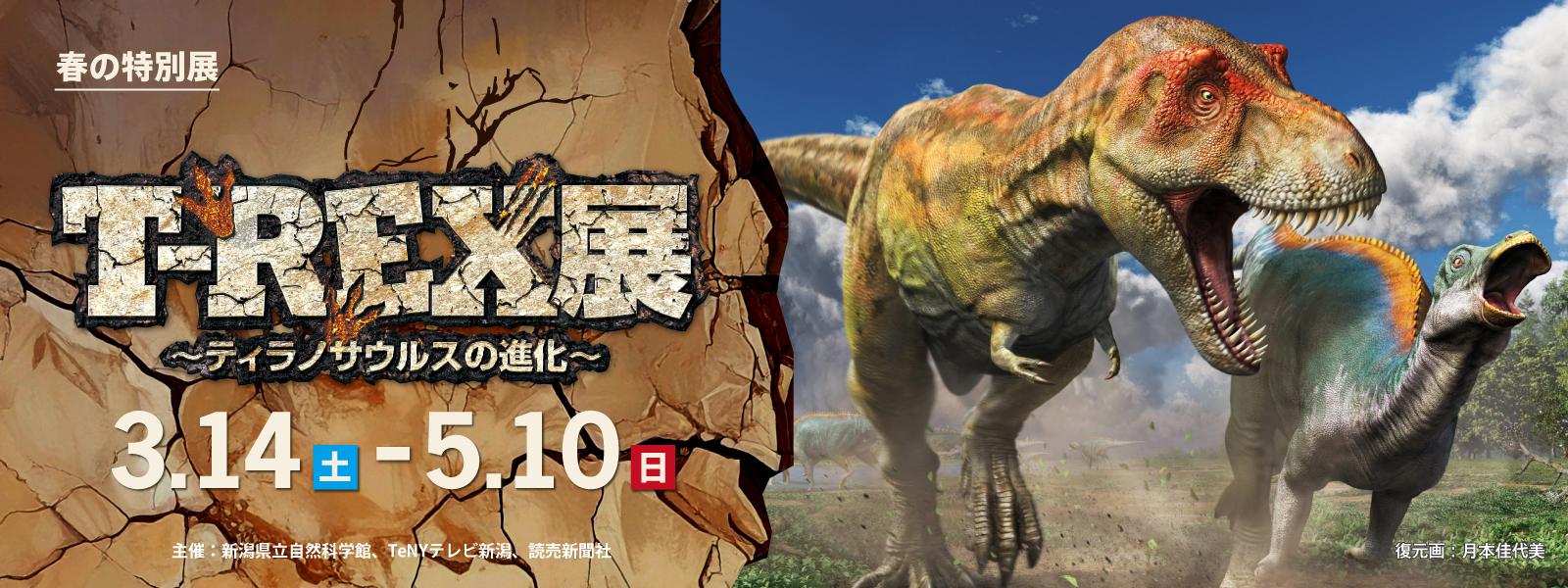 2026春の特別展「T-REX展」スライド画像