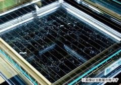 常設展示「霧箱」の画像