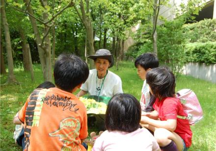 自然体験教室　イメージ画像