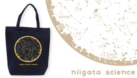 A4サイズが縦にも横にも入る!