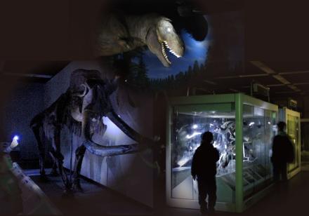 科学館ナイトツアーイメージ画像