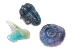 化石のレプリカ作品例