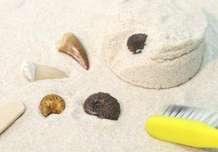 化石発掘体験のイメージ画