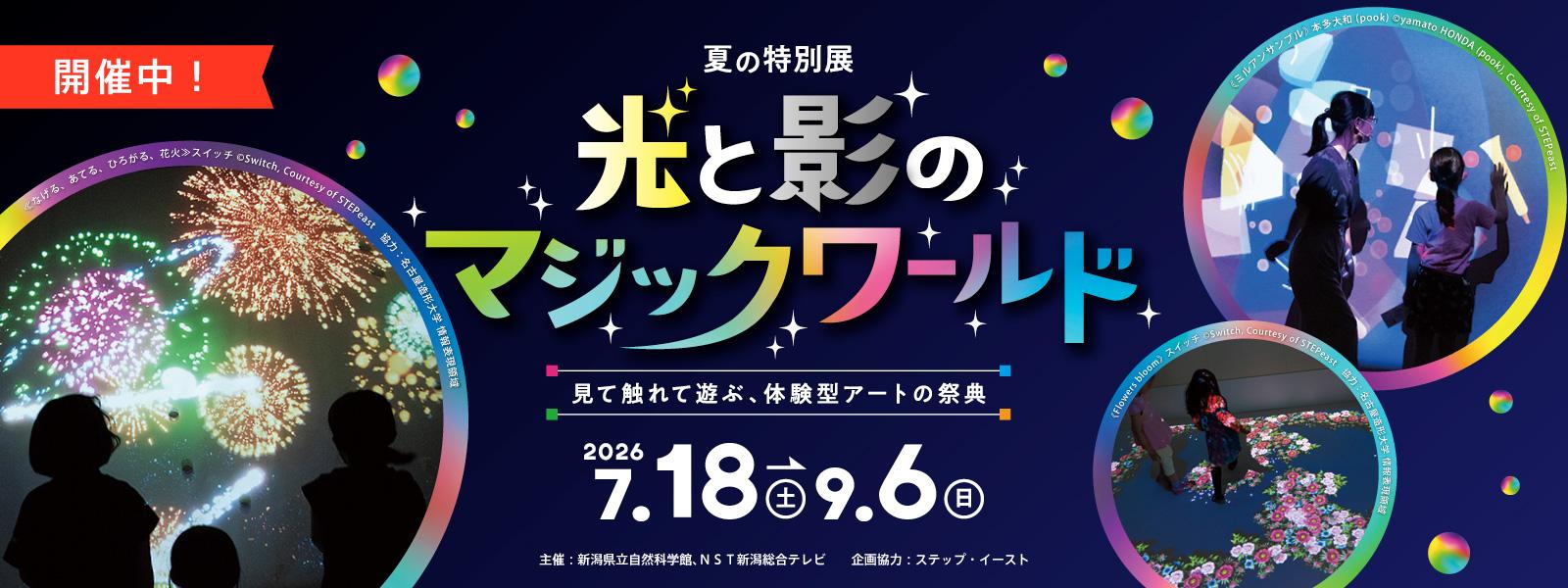 夏の特別展「光と影のマジックワールド～見て触れて遊ぶ、体験型アートの祭典～」スライド画像